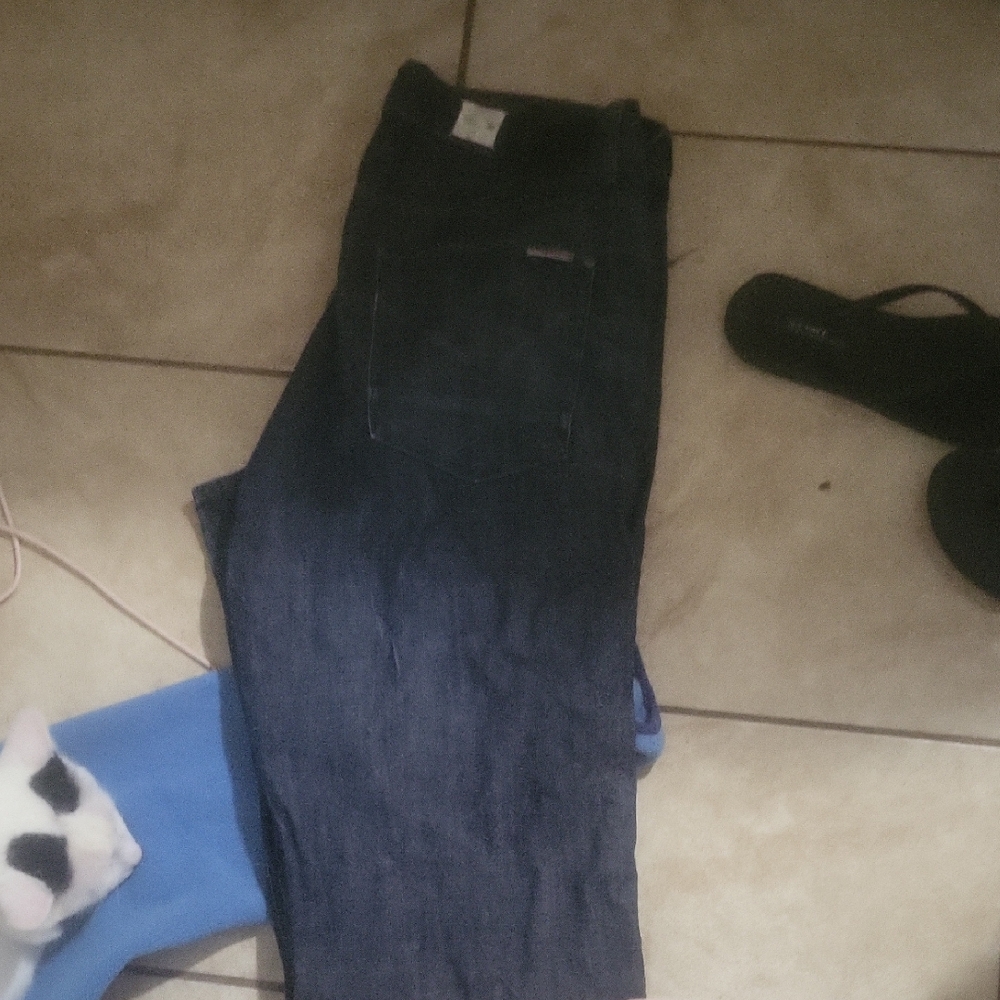 Hudson Jeans Dark Blue Straight Leg